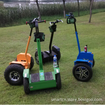 Popular Electric Scooter Segway Scooter